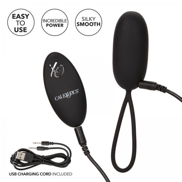 Remote Egg Vibrator