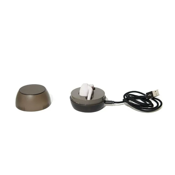 Eva 2 by Dame Couples Vibrator