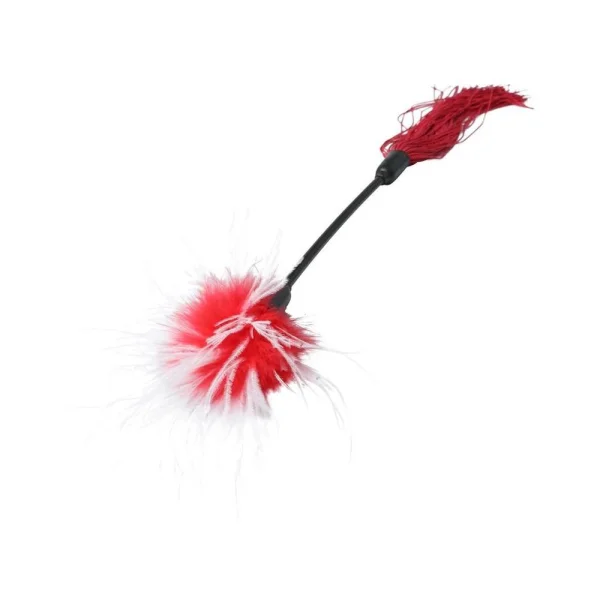 S&M Whip & Tickle