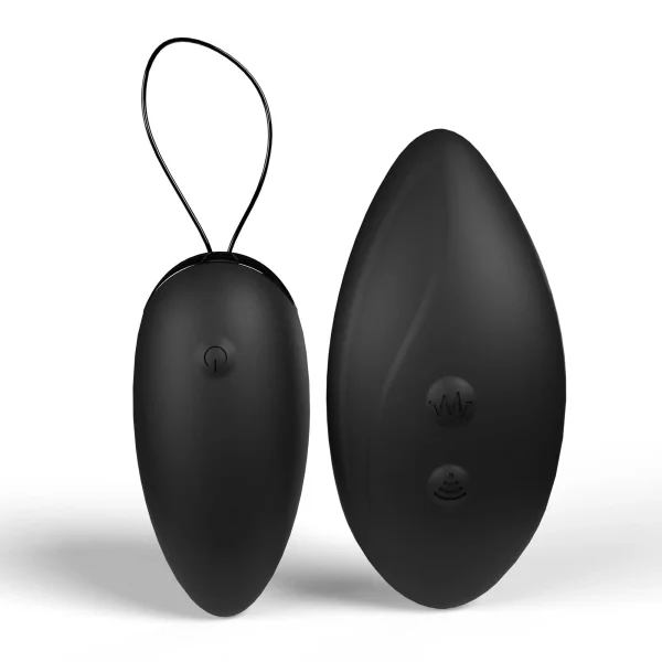 Premium Dual Vibe Remote And Egg Black