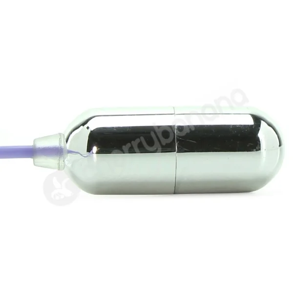 Naughty Pleasures Purple Sex Toy Kit