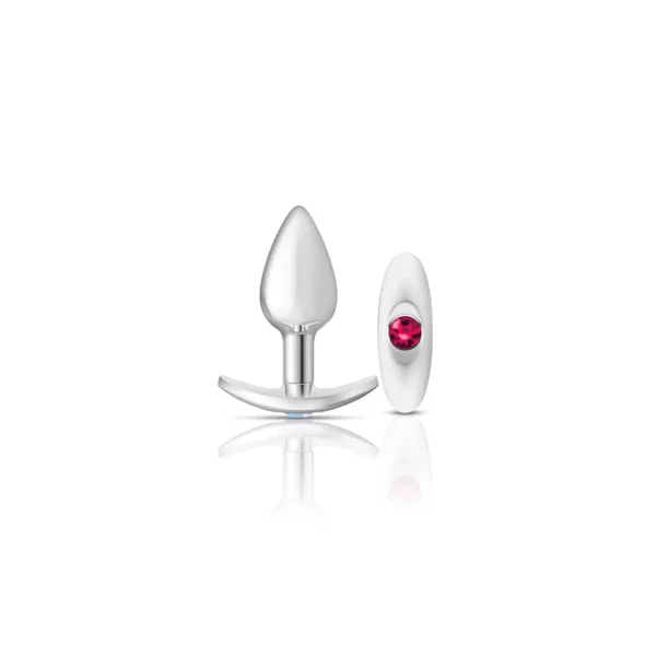 Cheeky Charms - Silver Metal Butt Plug Kit - Clear- Bright Pink