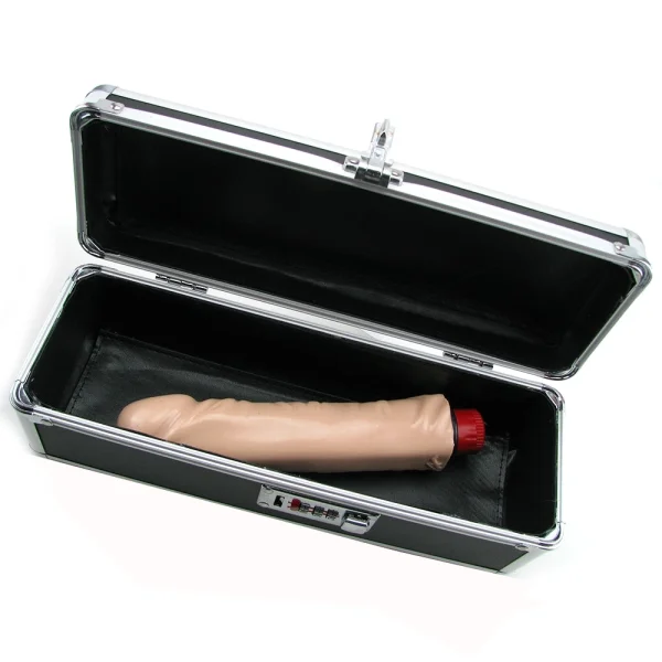 BMS Factory Lockable Vibrator Case Medium