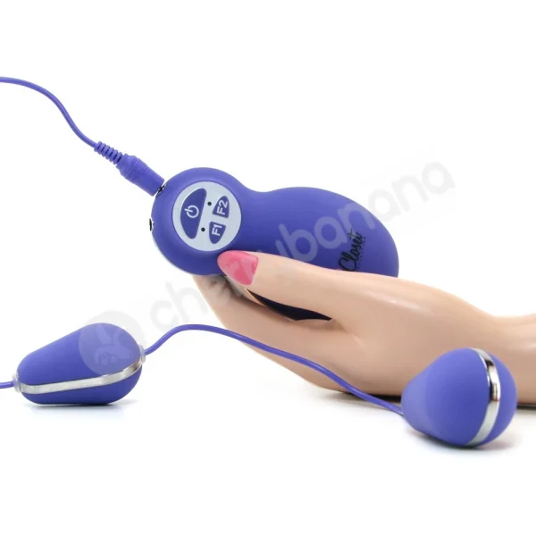The Valentina Purple Dolphin Bullet Vibrator System