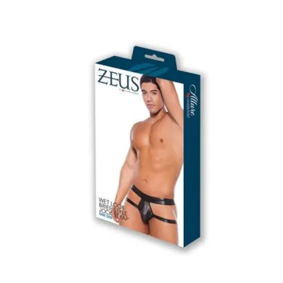 Wet Look Shorts One Size Black