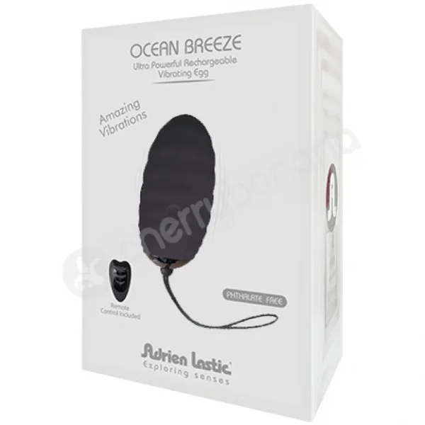 Adrien Lastic Ocean Breeze Black 10 Speed Rechargeable Vibrating Egg