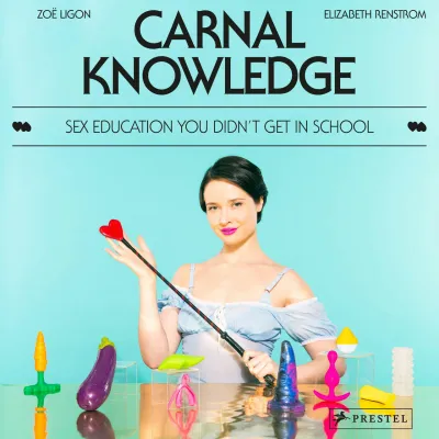 Carnal Knowledge Sex Education You Didn t Get In School By Zoe Ligon