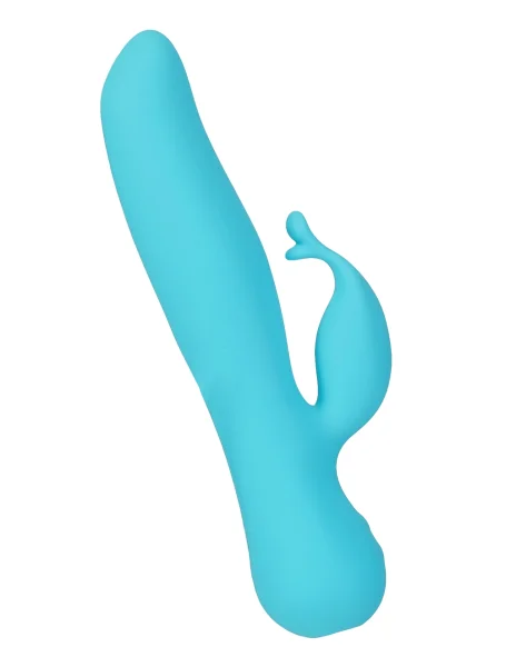 The Kissing Swan