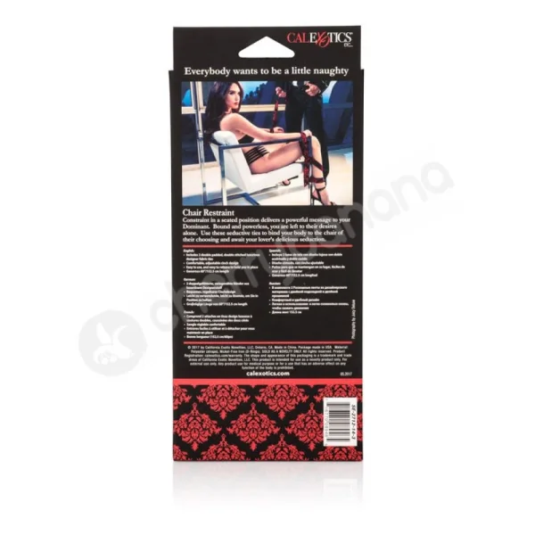 Scandal Chair Restraint