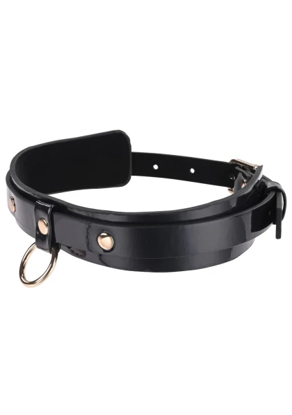 Sex & Mischief Orbit Day Collar By Sportsheets