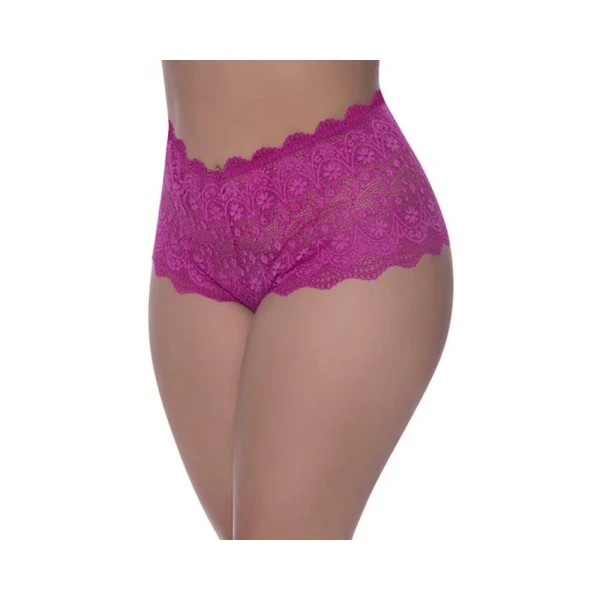 Women's Lingerie: Magic Silk Berrylicious Split Crotch Lace Boyshort Raspberry Queen Size