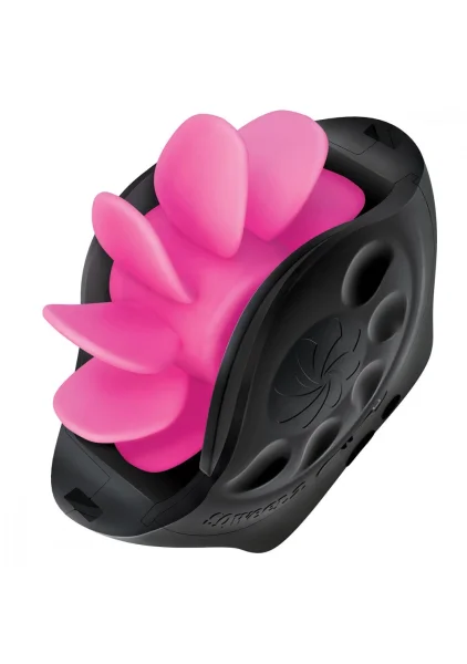 Sqweel Wheel 2