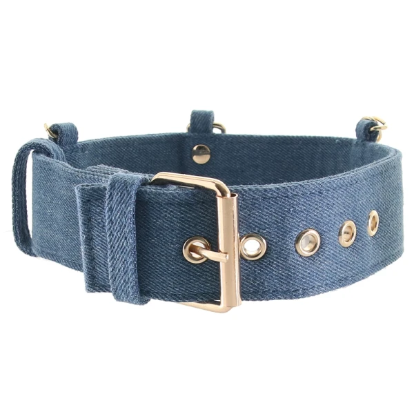Ride 'em Premium Denim Collection Collar with Leash