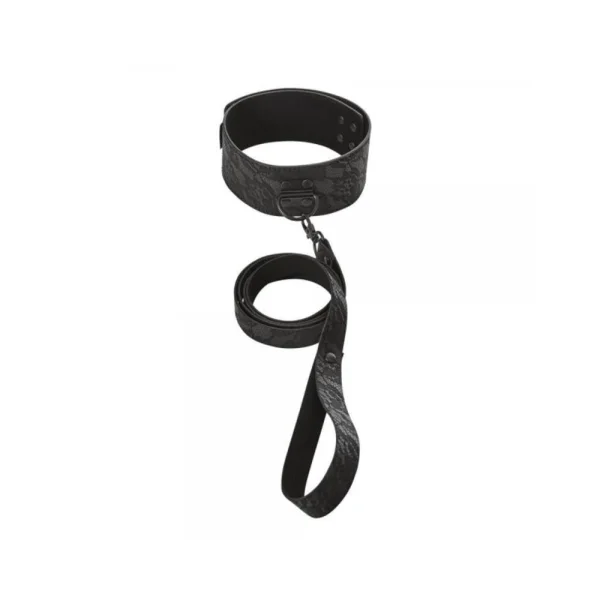 Sincerely, Ss Locking Lace Collar & Leash — image 5 of 6