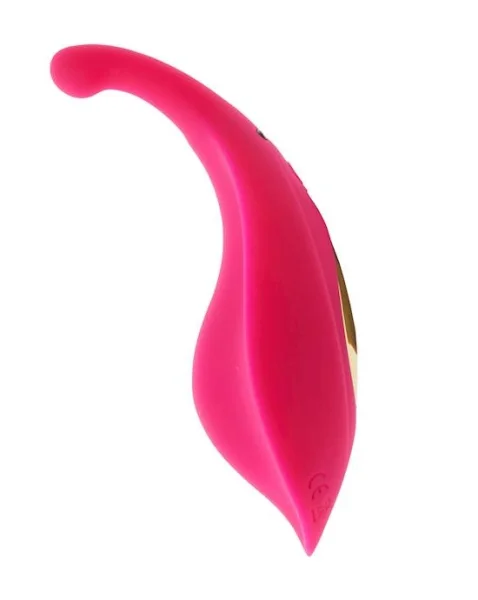 Amore Remote Control Couples Vibrator