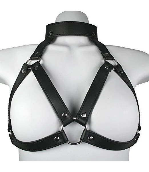 Harness with Gag & Nipple Clamps Set