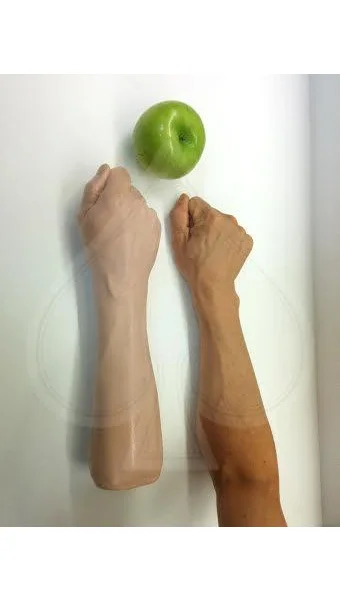The fist