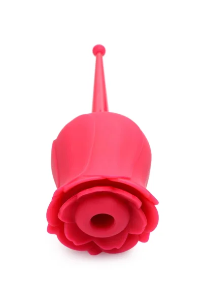 Bloomgasm - the Rose Buzz