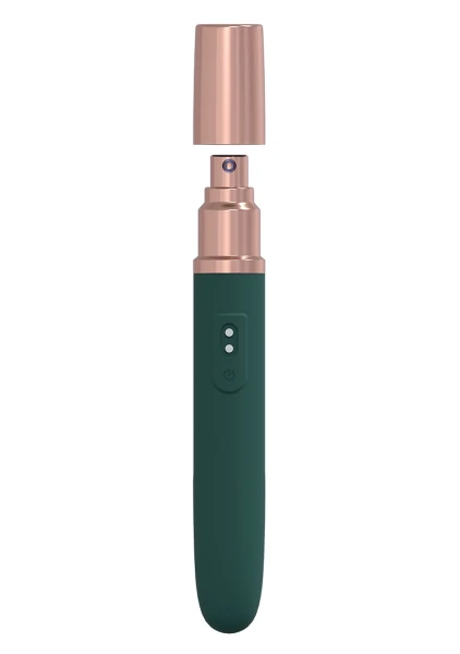 Kiwi Rechargeable Instertable Bullet