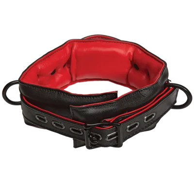 KINK Leather Handler s Collar