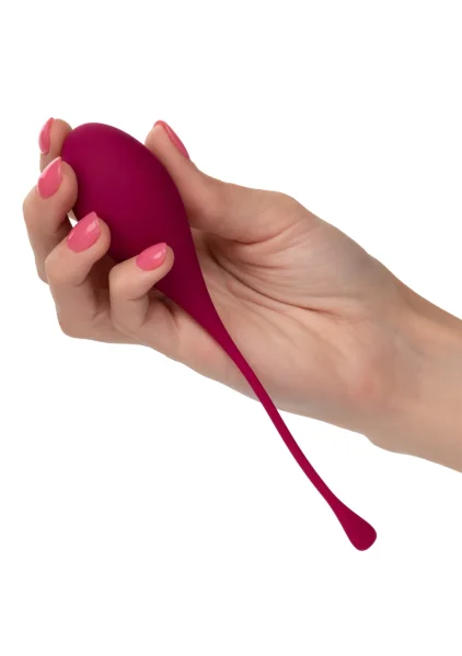 Kegel Training 5-Piece Set