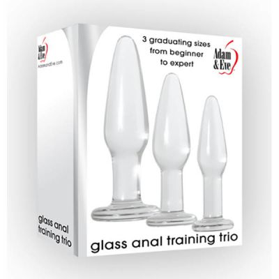 Glass Anal Training Set