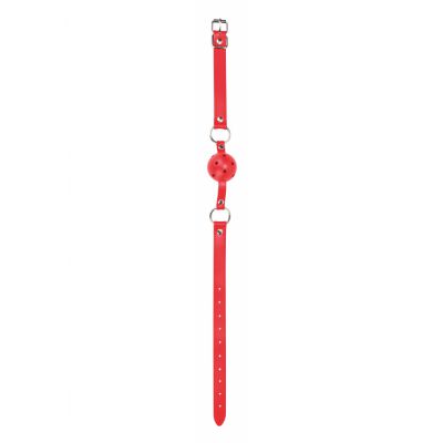 Gag Ball Red