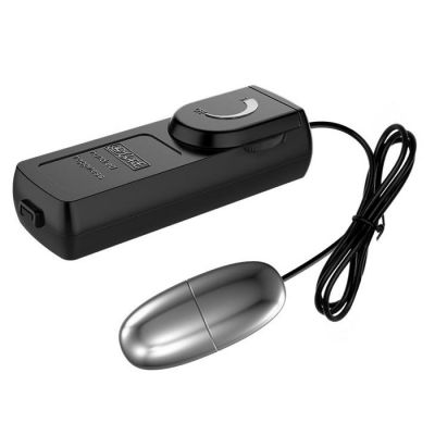 Silver Clit Bullet Power Vibrator