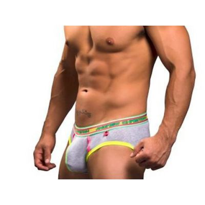 Show It Tagless Briefs L