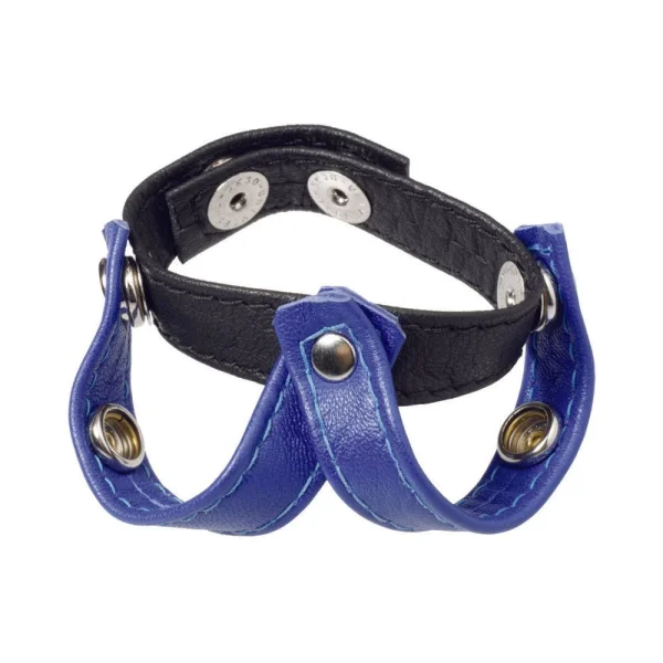 Leather V- Style Divider (black/blue)