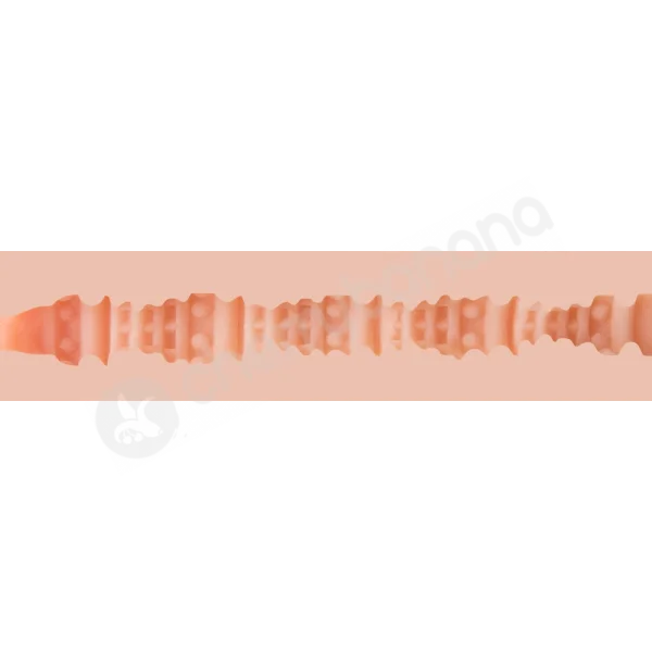 Fleshjack Boys Austin Wilde Eros Masturbator