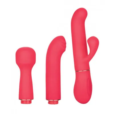 In Touch Passion Trio Pink Vibrator Kit