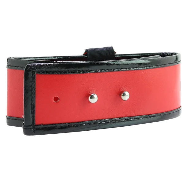 Sex & Mischief Leash and Collar