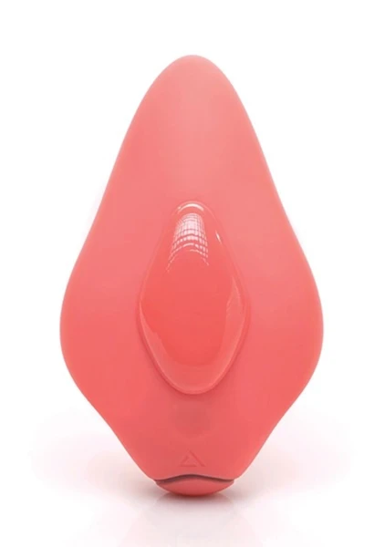 Companion Panty Vibe