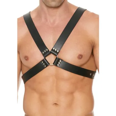 Men s 1 75 Inch Large Buckle Harness