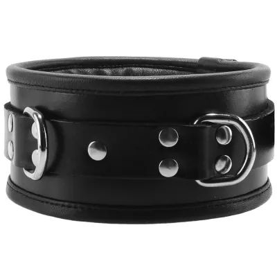 Padded Leather Collar