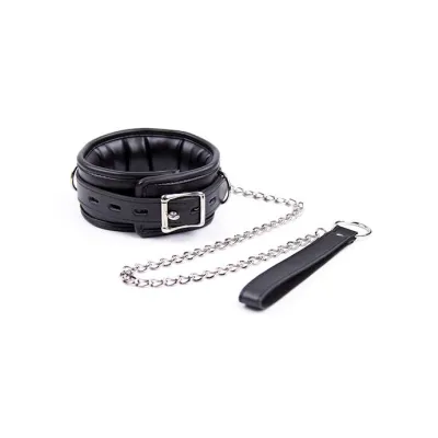 Soft Padded Collar And Leash