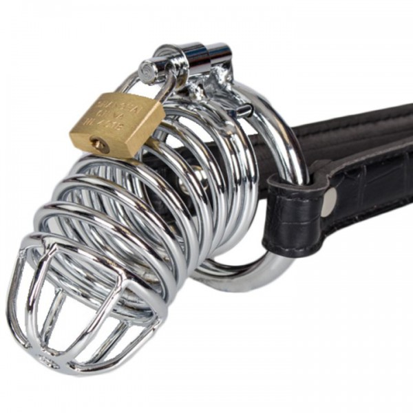 Fetish Fantasy Extreme Chastity Belt and Cock Cage — image 7 of 10