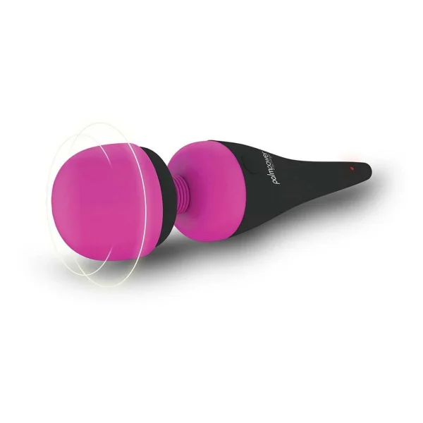 PalmPower Wand Massager