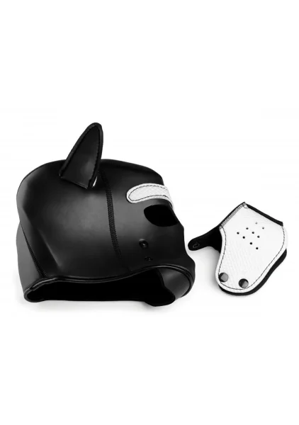 Spike Neoprene Puppy Hood