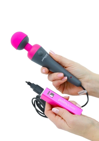 PalmPower Plug and Play Wand Massager