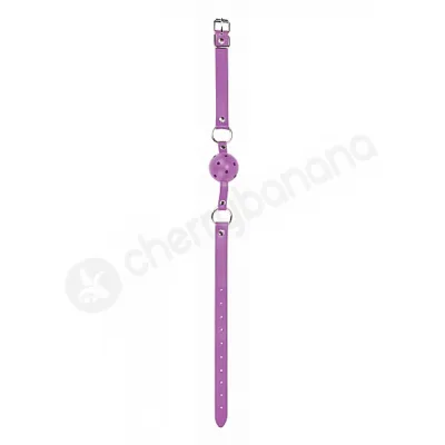 Ouch Purple Ball Gag