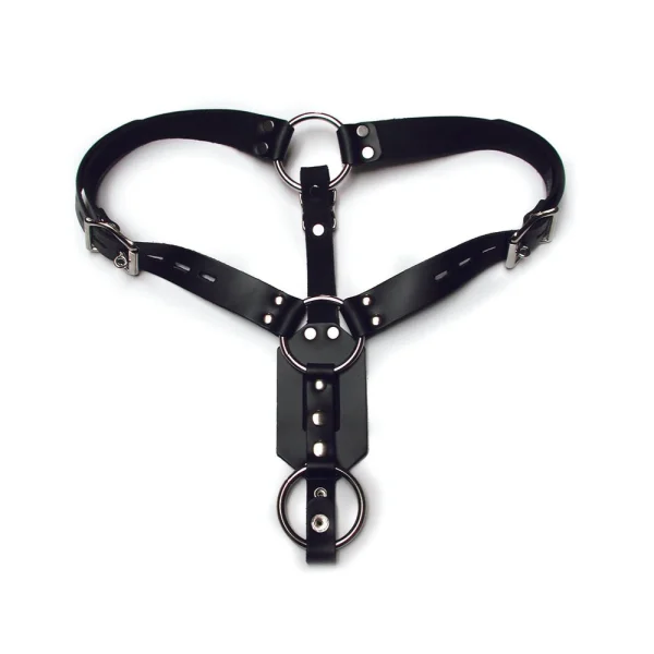 Kinklab Anal Plug Harness With Cock Ring — image 7 of 9