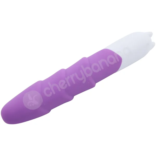 Cherry Banana Purple 10 Speed Ribbed Pleasure Vibrator