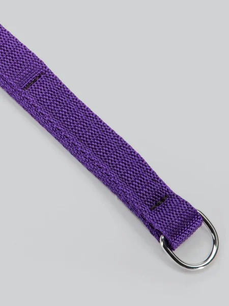Purple Reins Beginners Flogger