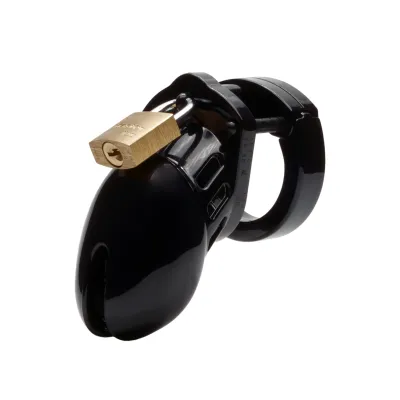 CB 6000S Male Chastity Device