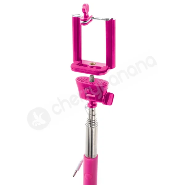 Bachelorette Party Favors Dicky Selfie Stick