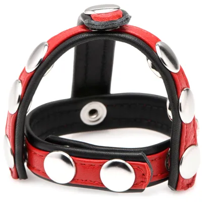 Strict Cock Gear Leather Snap On Harness