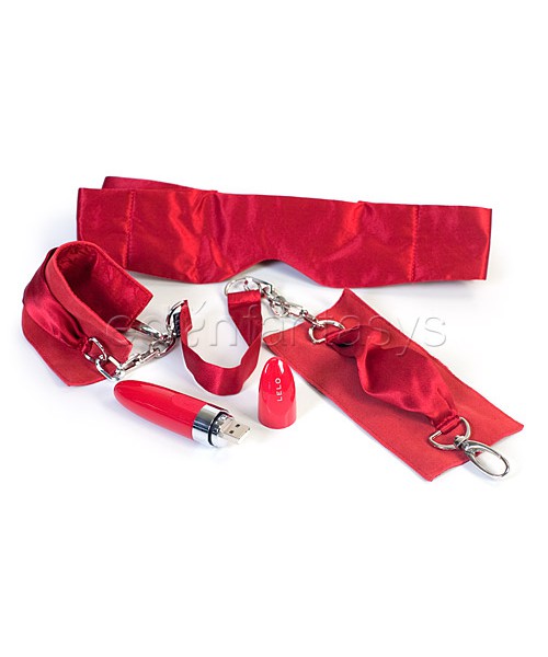 Adore me pleasure set