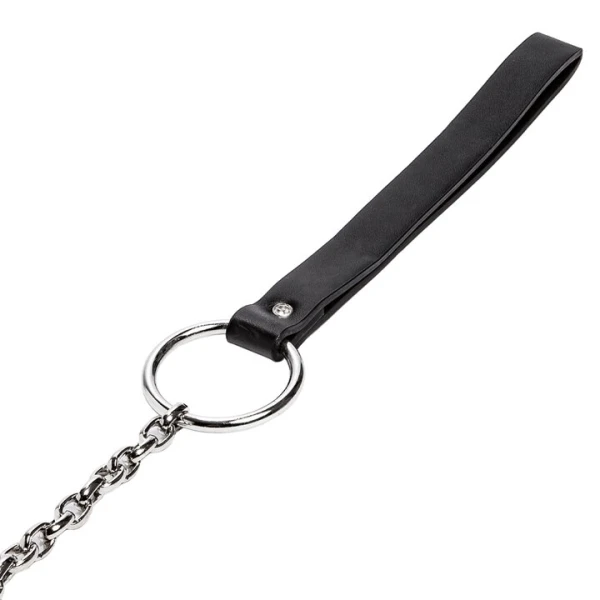 Torment Spread Eagle Pussy Spreader Labia Clamp with Chain Leash